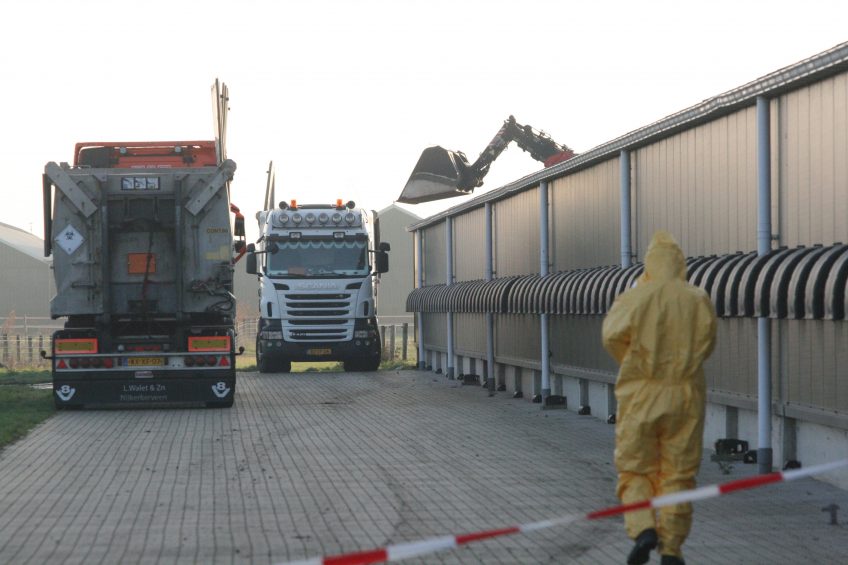 AI H5N8 spreads rapidly throughout Europe. Photo: Fabian Brockotter