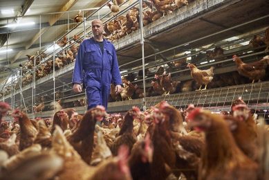 In order to express an animal s genetic potential, the digestive tract must support an optimal digestion and absorption of nutrients. Photo: Van Assendelft Fotografie