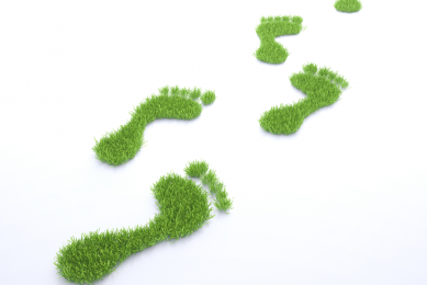 Canadian egg sector going  greener . Photo: Shutterstock