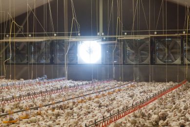 Temperature and relative humidity critical in climate control. Photo: Ronald Hissink