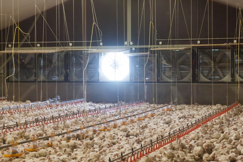 Temperature and relative humidity critical in climate control. Photo: Ronald Hissink