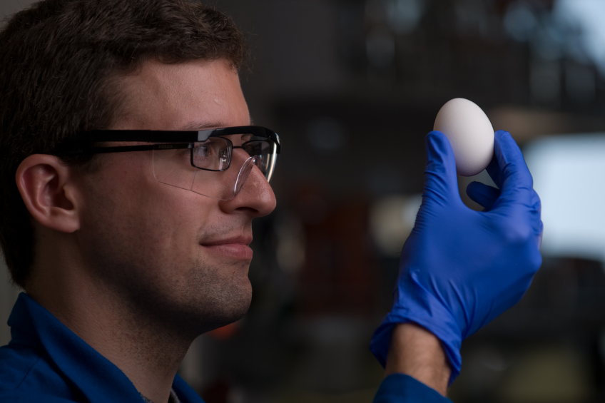Chemists discover way to unboil eggs