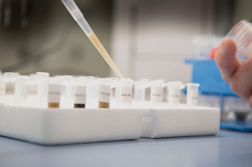 The project will consist of 5 work packages and will try to generate the tools and reagents needed to test molecular hypotheses. Photo: Mark Pasveer