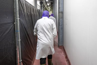 A number of Brazilian processors shut down over Chinese import restrictions. Photo: Ruud Ploeg