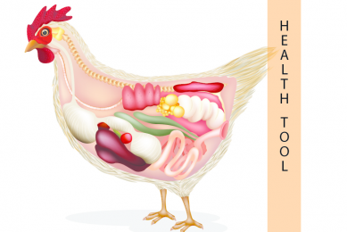 Health Tool launched by World Poultry