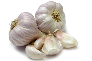 Garlic-fed chickens have reduced cholesterol in eggs
