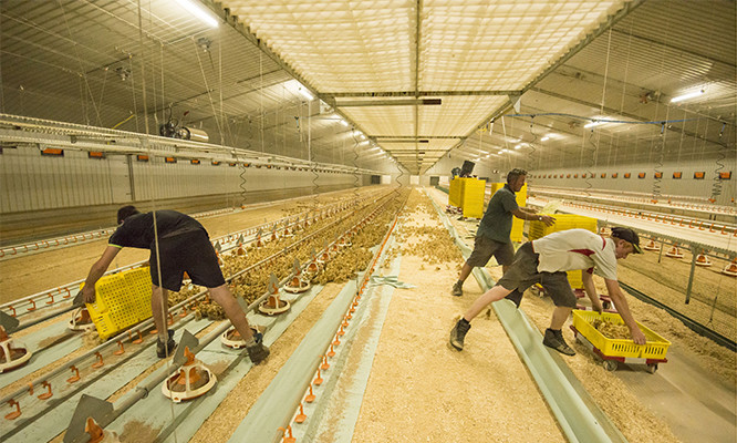 Photo: LPA_JOHN EVESON_REX_SHUTTERSTOCK