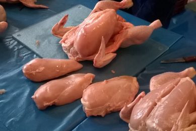 Wooden breast in broilers: Solution found. Photo: Rosie Burgin