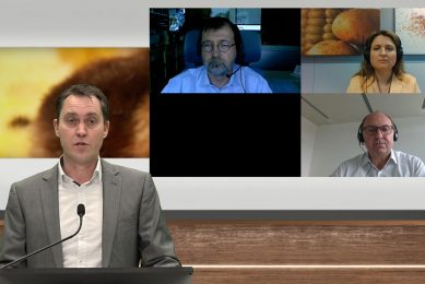 Webinar host Fabian Brockotter is joined via live video feed by Doctor Reperant (top left), Barbara Auer (top right) and Professor Hess. Photo: Company Webcast