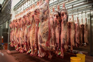 2 Sisters Red Meat sold to Irish firm. Photo: FLPA/John Eveson/REX/Shutterstock