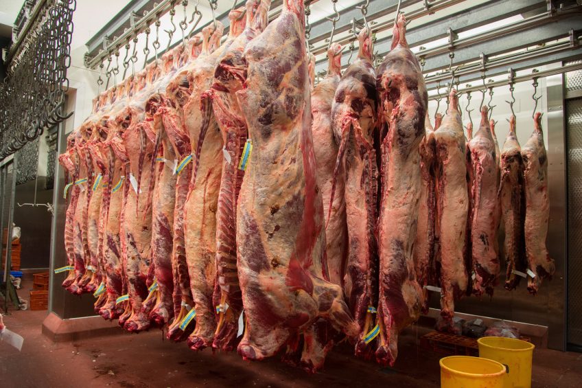 2 Sisters Red Meat sold to Irish firm. Photo: FLPA/John Eveson/REX/Shutterstock