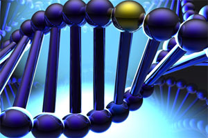 ISU helps African hunger fight with poultry genetics