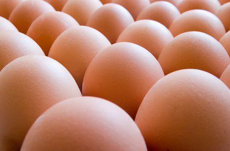 Kazakhstan increases egg production