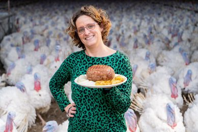 Native breed turkeys have stronger leg bones and more tender breast meat than their commercial counterparts. Photo: Jan Willem Schouten