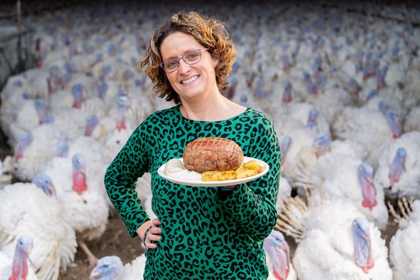 Native breed turkeys have stronger leg bones and more tender breast meat than their commercial counterparts. Photo: Jan Willem Schouten