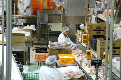 Photo: Poultry World