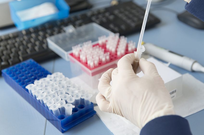 The new coronavirus (SARS-CoV-2) is more persistent than MERS-COV or SARS-CoV-1 on packaging material. Photo: Boerderij