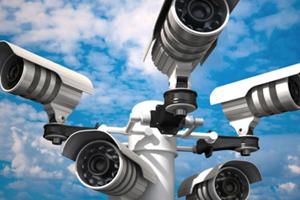 UK improves surveillance for animal disease threats