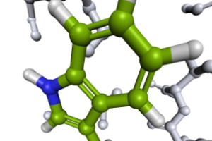 Examining sulphur amino acids use in poultry production
