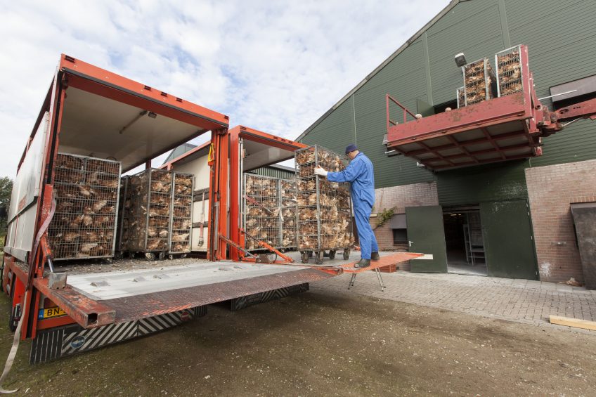 Poultry transportation is a potential risk when it comes to animal welfare. Good monitoring of the truck can prevent harm to the birds and the sectors image. Photo: Koos Groenewold