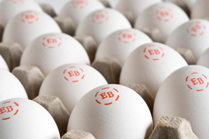 Cal-Maine Foods experiences  favourable  Q2 conditions