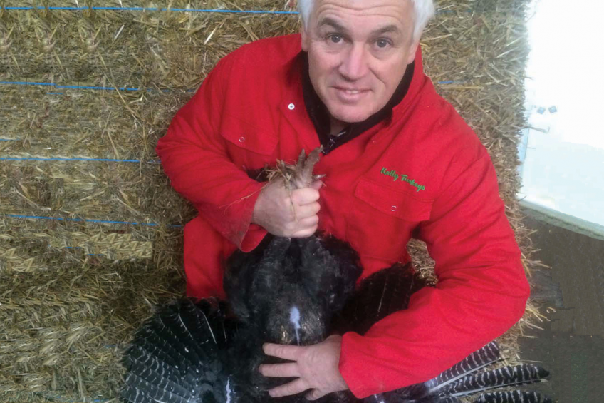 Paul Kelly with the Super Mini Special