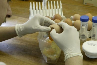 In Ovo started experimenting with egg sexing in a lab many years ago, now it has developed a high throughput screening machine. Photo: Henk Riswick