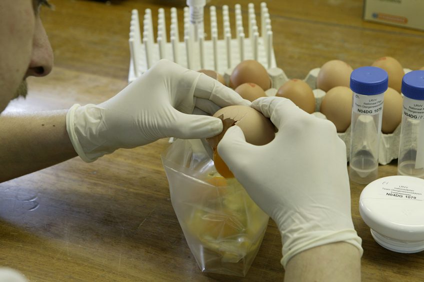 In Ovo started experimenting with egg sexing in a lab many years ago, now it has developed a high throughput screening machine. Photo: Henk Riswick