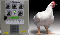 Flockman selected for Global Innovations Forum