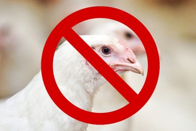 AI prompts EU to block poultry from Ukraine