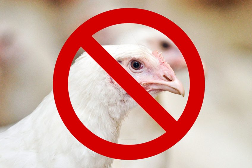 AI prompts EU to block poultry from Ukraine