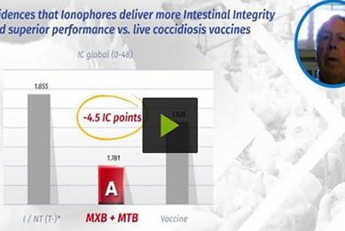 Video 4: Evaluating vaccines as a coccidiosis control option