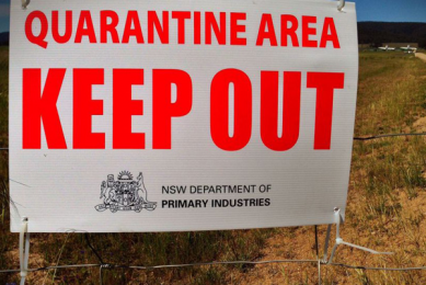 Bird flu strikes Australian layer farm