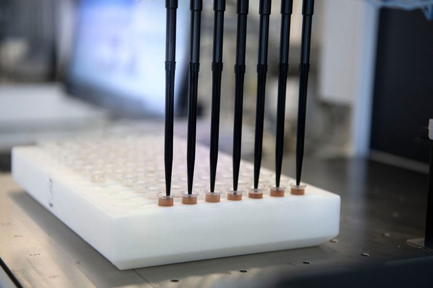 Chicken Biobank to cut numbers of birds for research