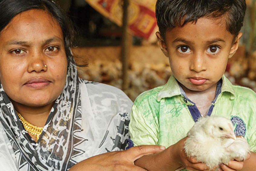 Hatching Hope is a groundbreaking initiative that will allow farmers to increase their knowledge and resources needed to expand sustainable poultry production and sell their products at market for a living income. Photo: Hatching Hope