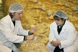 UK agency consults on veterinary surveillance