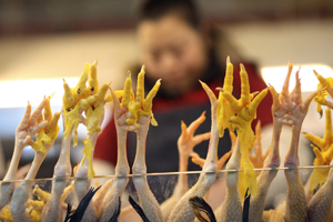 Tainted chicken feet seized in China