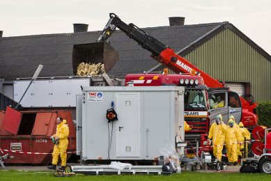 Over the past few weeks, more than 100,000 birds on 2 UK farms have been culled due to closures of processing plants because of Covid-19 outbreaks among factory workers. Photo: ANP/Vincent Jannink