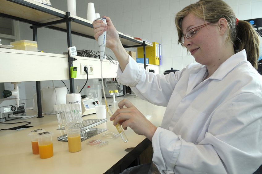 Analysis revealed that the protein composition of the egg albumen of different poultry species varies and shows wide differences. Photo: Penn Communicatie