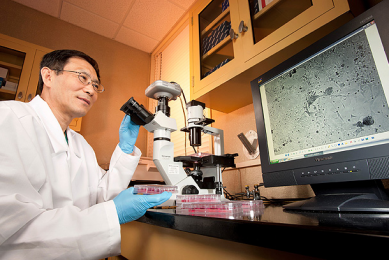 New vaccine against poultry diseases by USDA