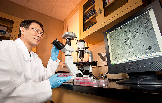 New vaccine against poultry diseases by USDA