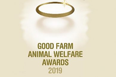 French companies scoop egg and poultry welfare awards