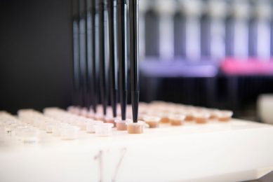 Poultry production in low to middle income nations could benefit from gene editing, researchers claim. Photo: Mark Pasveer