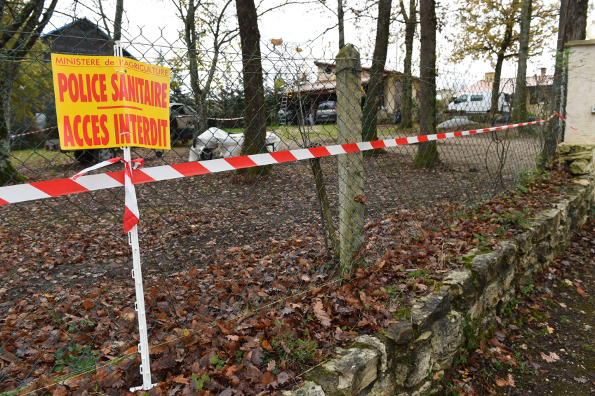 Avian Influenza outbreak in France