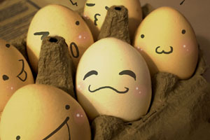 Research finds egg preference reflects personality