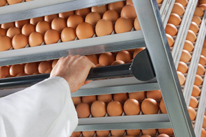 Serfontein Kuikens expands with Pas Reform in SA