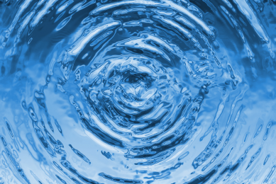 USPOULTRY challenging EPA s clean water rule