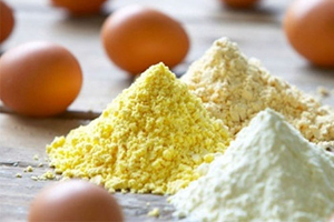 Avangard set to launch egg exports to the EU