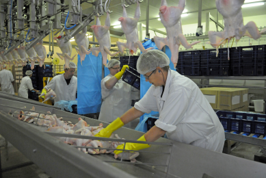 Production of meat has a large environmental footprint, but food  security and preventing extreme hunger in the world has to be achieved  at all costs.