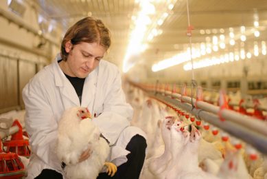 US: Vaccines and biosecurity to replace antibiotics. Photo: Shutterstock